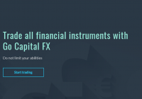 Обзор брокера GO CAPITAL FX, отзывы