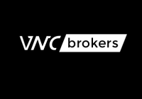 Обзор брокерской компании VNS Brokers, отзывы