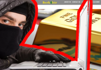 Berkshir Trade - обзор и отзывы. Снова scam-проект?